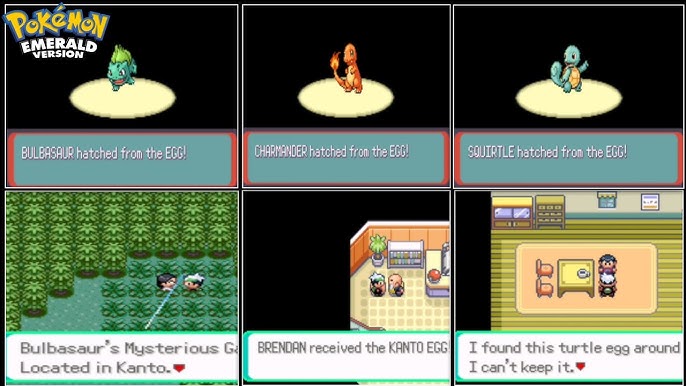 Where to Get Fishing Rod in Emerald