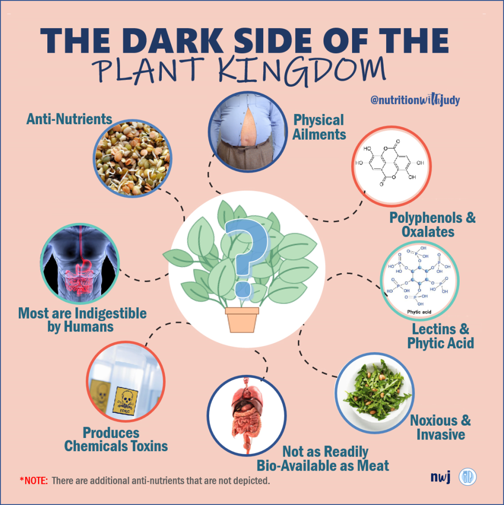 Which Carbohydrate is Not Found in Foods from Plants