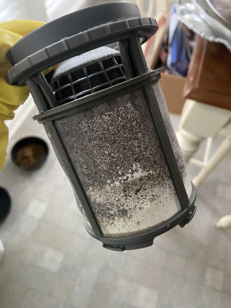Why is My Dishwasher Getting Moldy